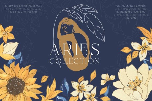 Elevate Your Visual Language with the Arles Collection